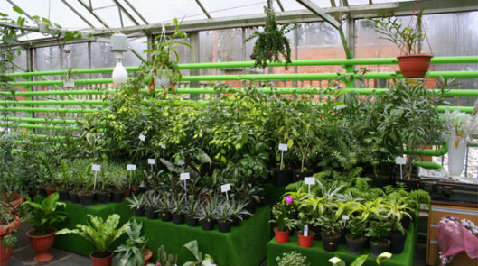 Тепличный комплекс