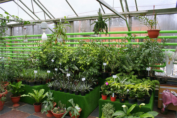 Тепличный комплекс