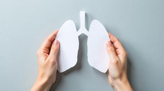 Органы дыхания